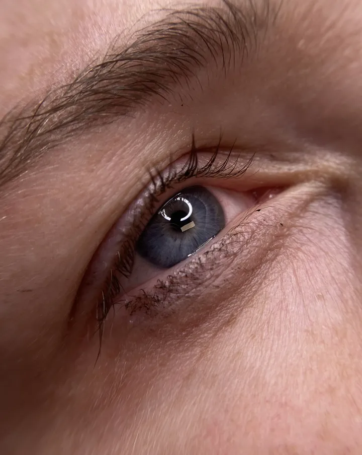 Wimpernkranzverdichtung, dezente Pigmentierung am Wimpernansatz, Studio Lex Lines
