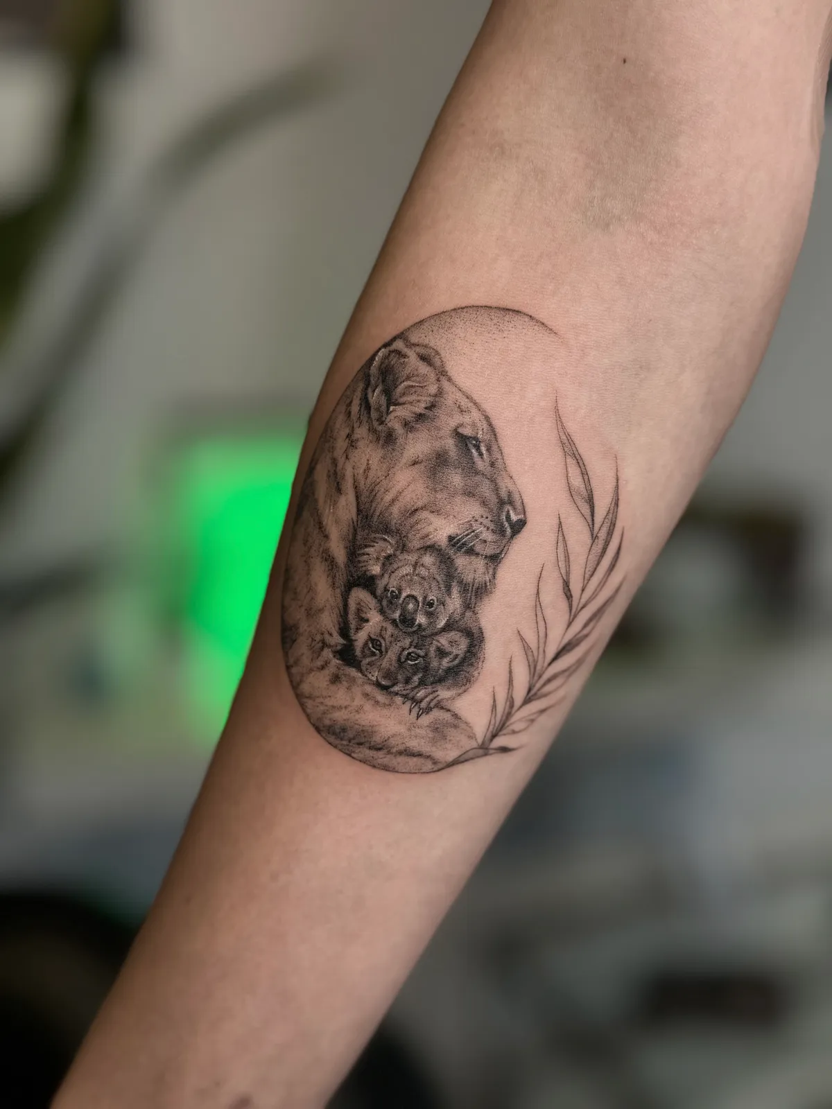 Löwin mit Jungen am Oberarm
