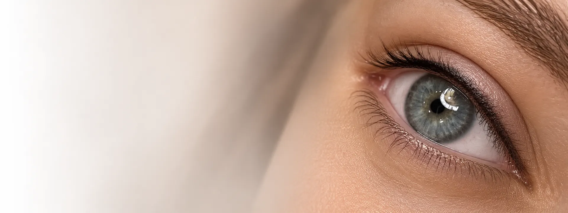 Wimpernkranzverdichtung, Blick und Wimpernansatz im Studio Lex Lines